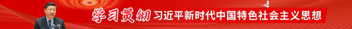 学习贯彻习近平新时代中国特色社会主义思想